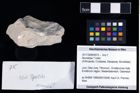 Foto (Objekt + Etikett) von Munididae ? indet.  (NHMW-GEO-2017-0089-0075)